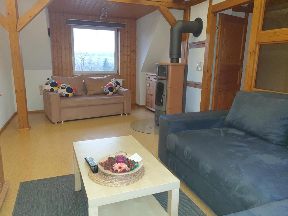 Die Gemuetliche Ferienwohnung Fuer Jedermann! Oppach エクステリア 写真