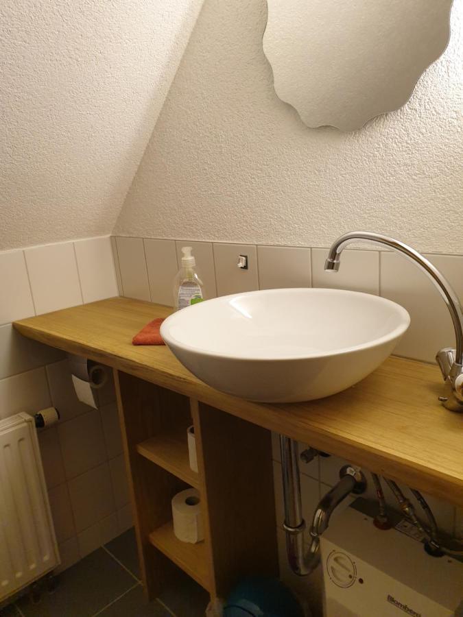 Die Gemuetliche Ferienwohnung Fuer Jedermann! Oppach エクステリア 写真
