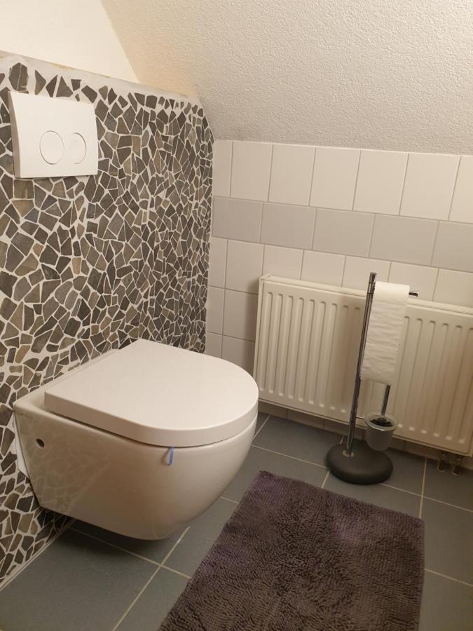 Die Gemuetliche Ferienwohnung Fuer Jedermann! Oppach エクステリア 写真