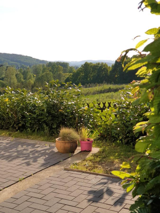 Die Gemuetliche Ferienwohnung Fuer Jedermann! Oppach エクステリア 写真