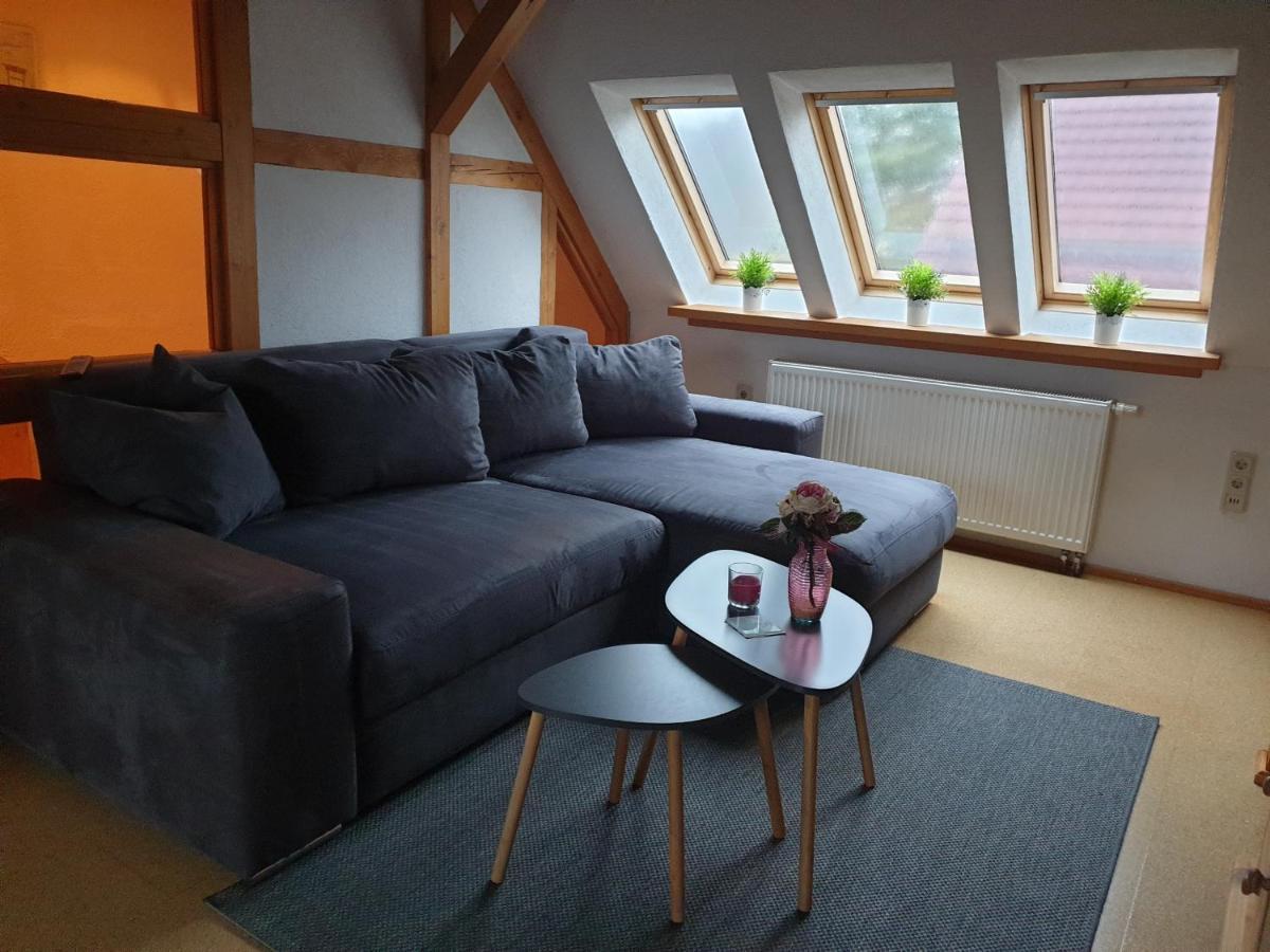 Die Gemuetliche Ferienwohnung Fuer Jedermann! Oppach エクステリア 写真
