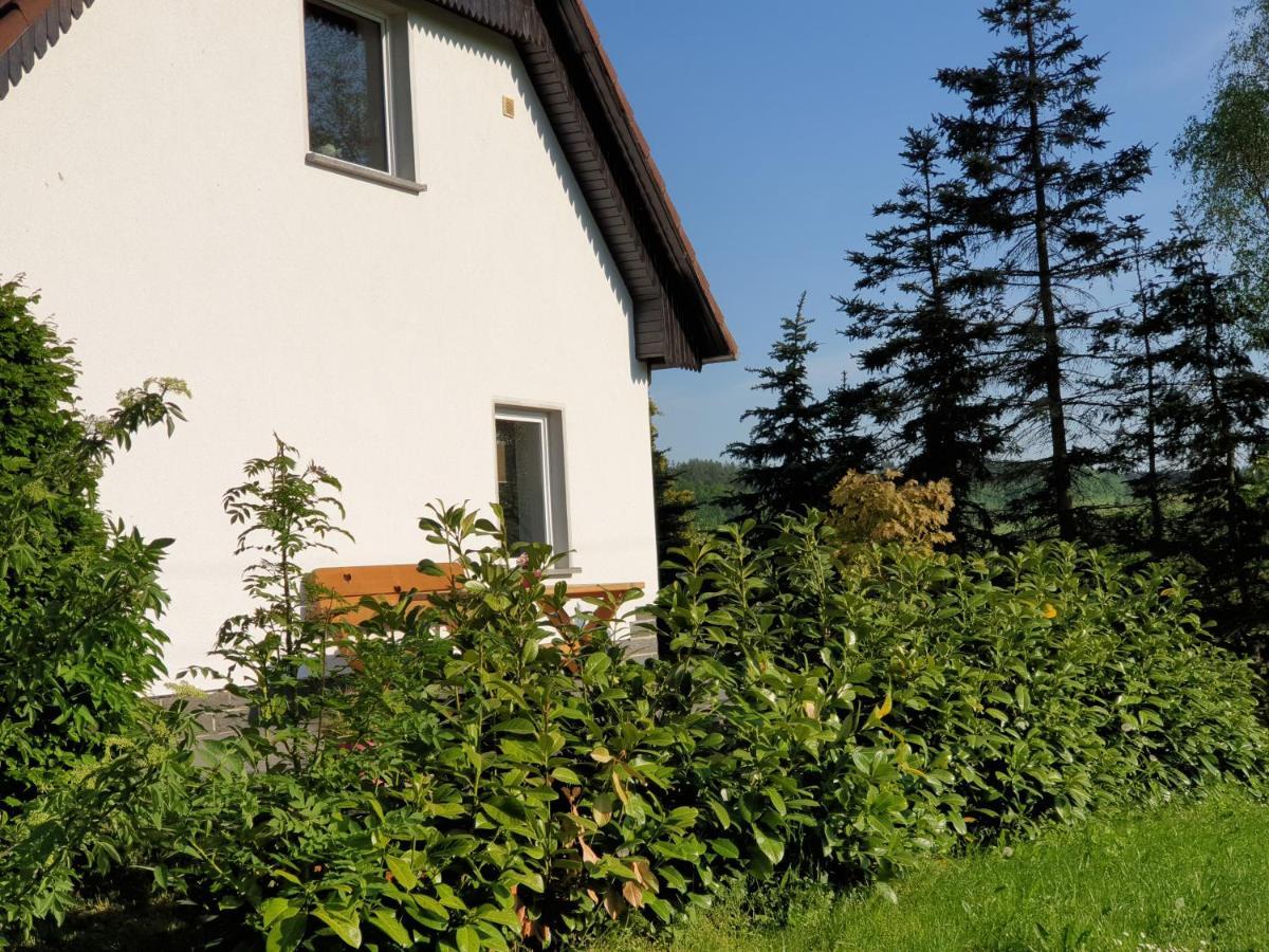 Die Gemuetliche Ferienwohnung Fuer Jedermann! Oppach エクステリア 写真