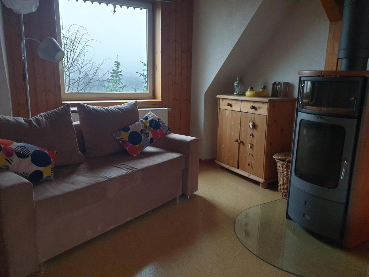 Die Gemuetliche Ferienwohnung Fuer Jedermann! Oppach エクステリア 写真